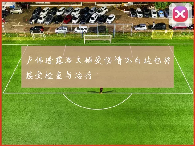 卢伟透露洛夫顿受伤情况白边也将接受检查与治疗