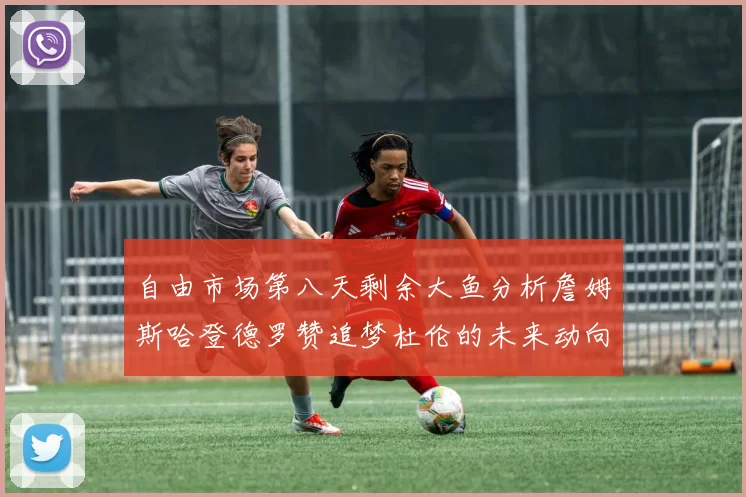 自由市场第八天剩余大鱼分析詹姆斯哈登德罗赞追梦杜伦的未来动向